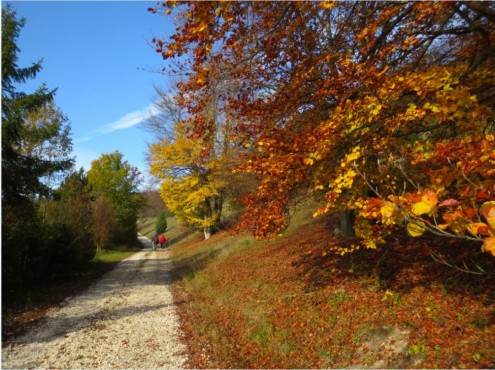 herbst