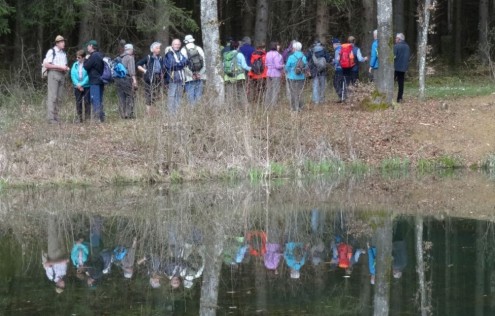 Albschäferweg bei Giengen