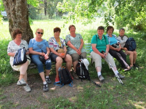 Unser Alternativ Programm um den Schwanensee