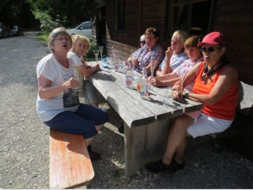 Waldfest2_2015