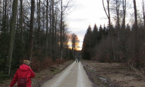 Irmannsweiler_2