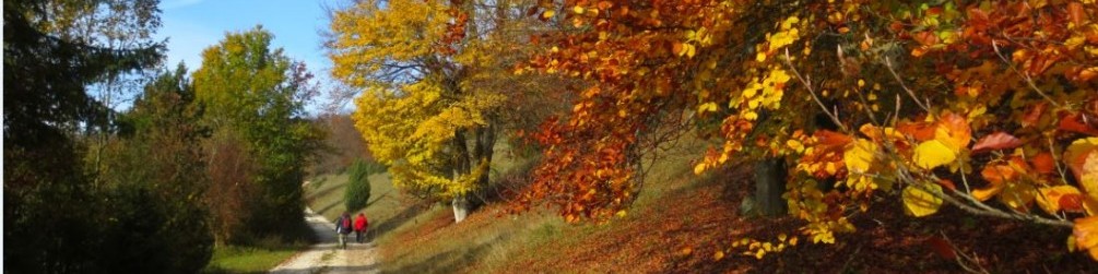 Schwäbischer Albverein | Ortsgruppe Königsbronn