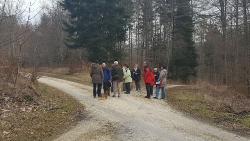 Heimische-Waelder