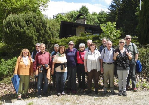 Im-Wald-und-auf-der-Heide