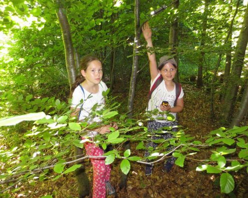 Kinder-Ferien-Programm